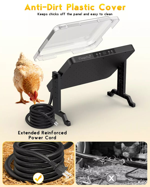 Chicken standing next to a black brooder heater plate with an anti-dirt plastic cover, power cord