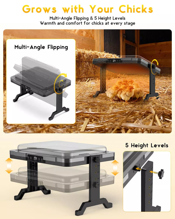 Chicken brooder with multi-angle flipping and height adjustment features, showing chickens inside.