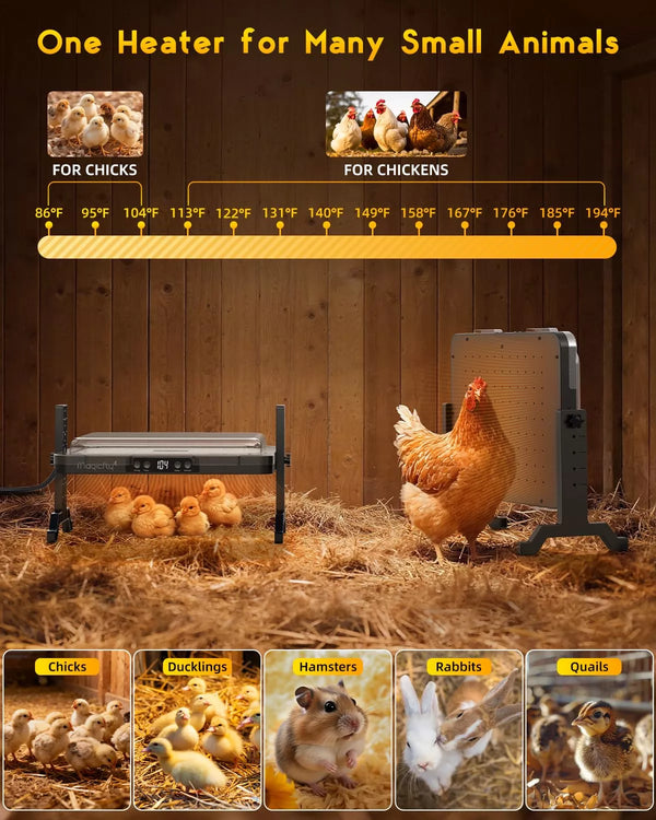 Heater for small chickens with temperature display