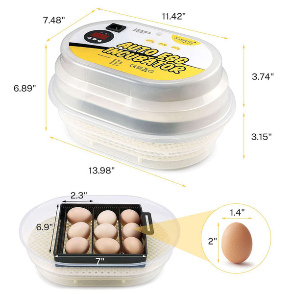 auto egg incubator