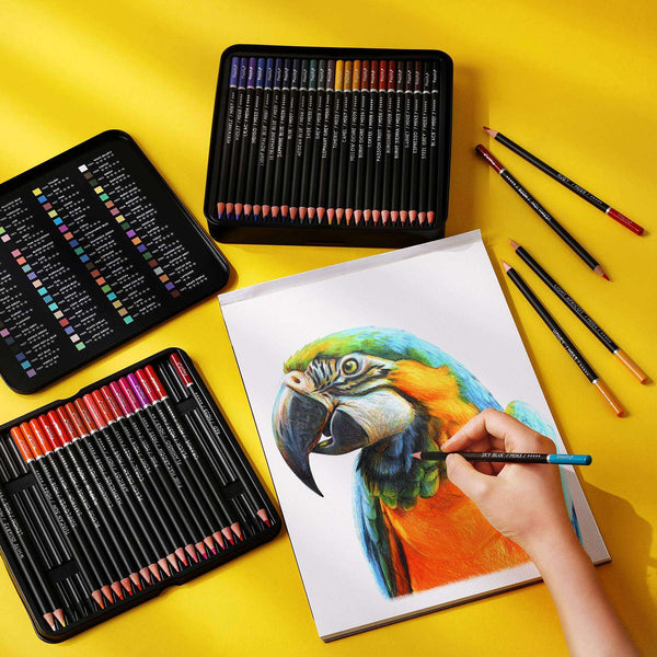 colored pencils with case