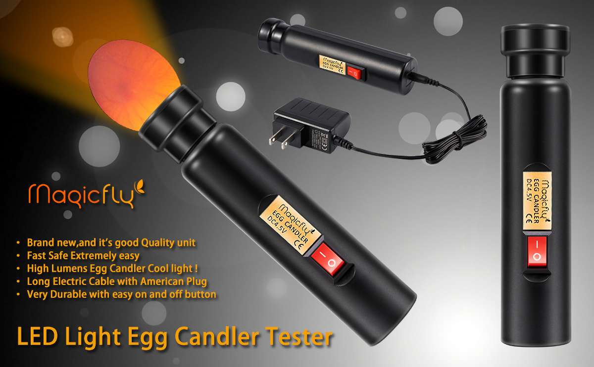 Magicfly Bright Cool LED Light Egg Candler Best Egg Candling Light