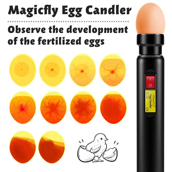 magicfly egg candler