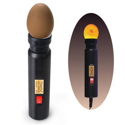 Bright Cool LED Light Egg Candler Tester, Power by Power Supply Only - Magicfly