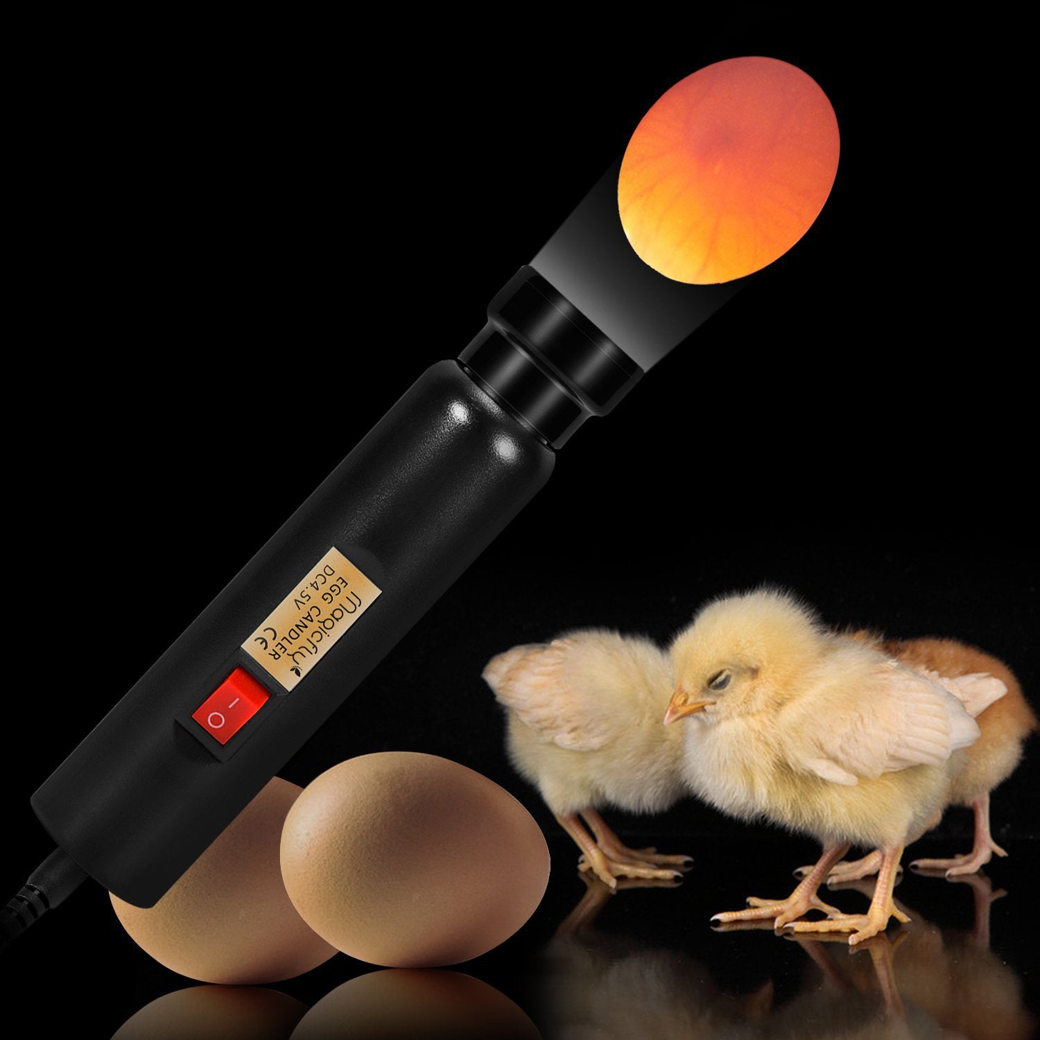 Bright Cool LED Light Egg Candler Tester, Power by Power Supply Only - Magicfly