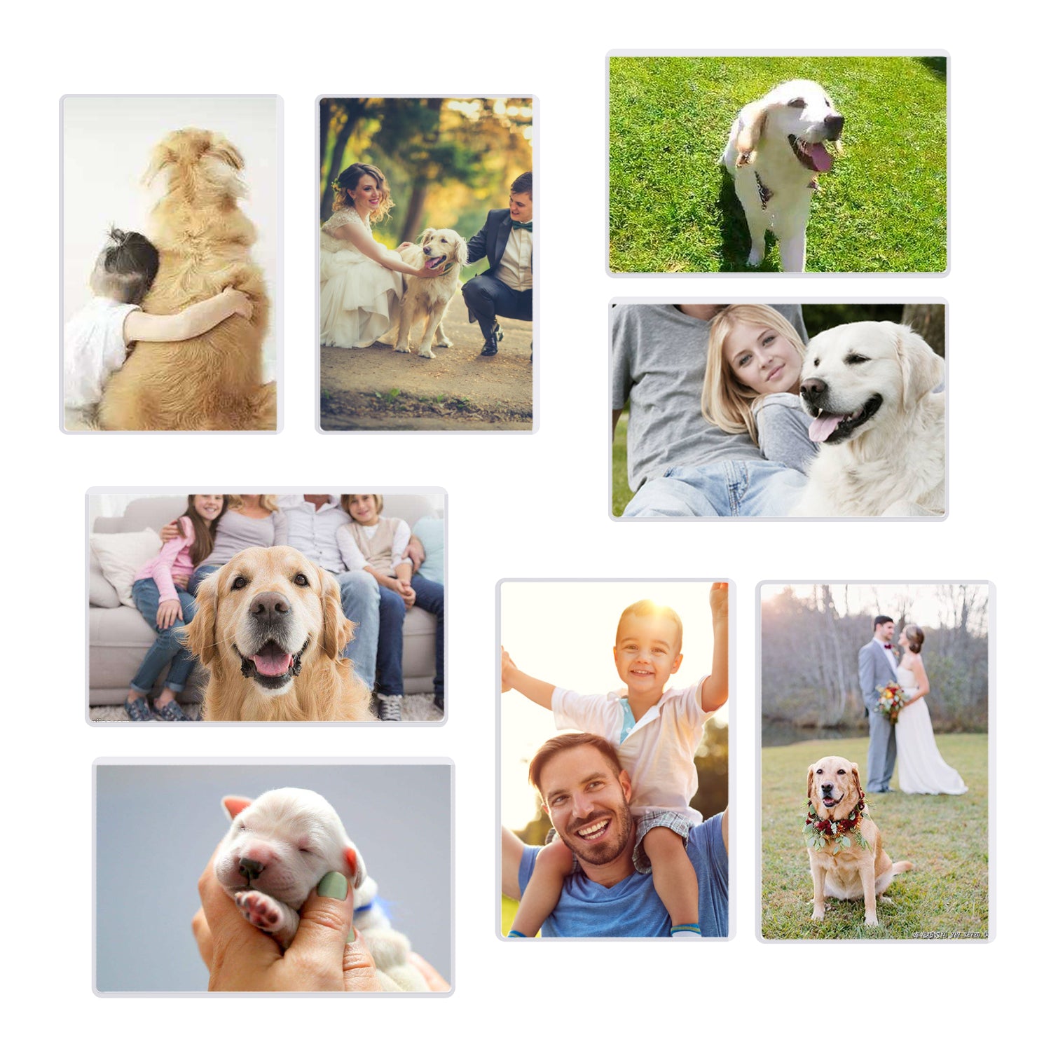 Magnetic Picture Frame with Clear Pocket, 4 x 6 Inches Refrigerator Photo Holder for Fridge Office Cabinet Locker, White - Pack of 15 - Magicfly