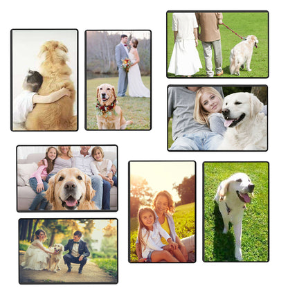 Magnetic Picture Frame with Clear Pocket, 4 x 6 Inches Refrigerator Photo Holder for Fridge Office Cabinet Locker, Black - Pack of 15 - Magicfly