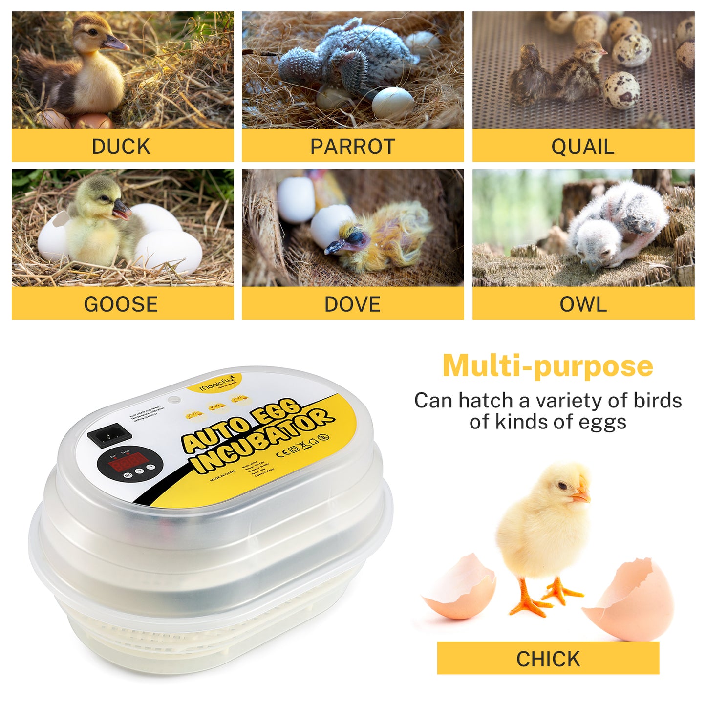 Digital Mini Fully Automatic Egg Incubator 9-12 Eggs Poultry Hatcher for Chickens Ducks Goose Birds - Magicfly