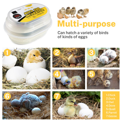 Digital Mini Fully Automatic Egg Incubator 9-12 Eggs Poultry Hatcher for Chickens Ducks Goose Birds - Magicfly