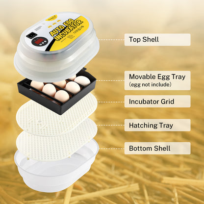 Digital Mini Fully Automatic Egg Incubator 9-12 Eggs Poultry Hatcher for Chickens Ducks Goose Birds - Magicfly